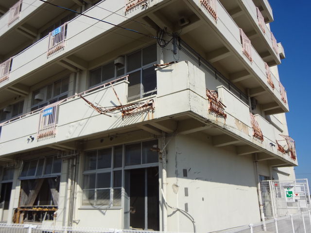 �Ôg�̏��Ղ��c���Ă��܂��B_�k�Ј�\�@���s���r�l���w�Z