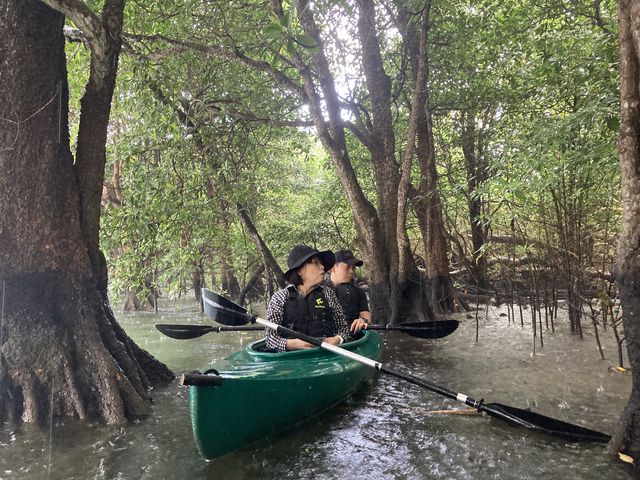 ˑR̃XR[}O[u̗т̒ŉJh`_OHCUSΊ_