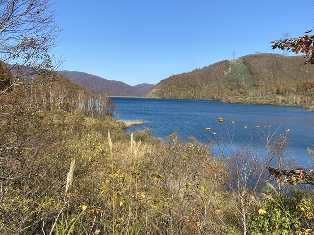 �o�M�[����c��΂悭�����܂��B�����������Ă�_�c��X�L�[��