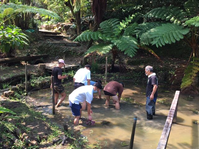 �h���񂱗V�т݂����Ŗʔ����B_�����哇�ۑ�