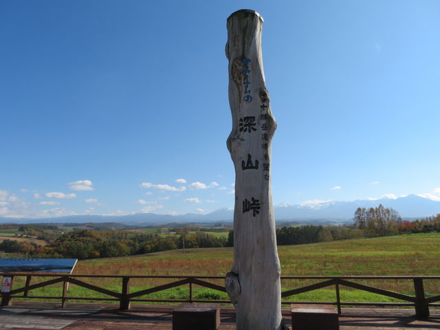 �[�R��_�[�R���W�]��