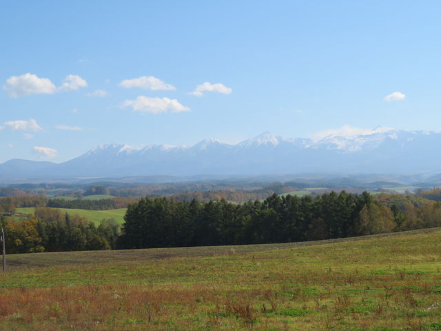 ���������Y��_�[�R���W�]��