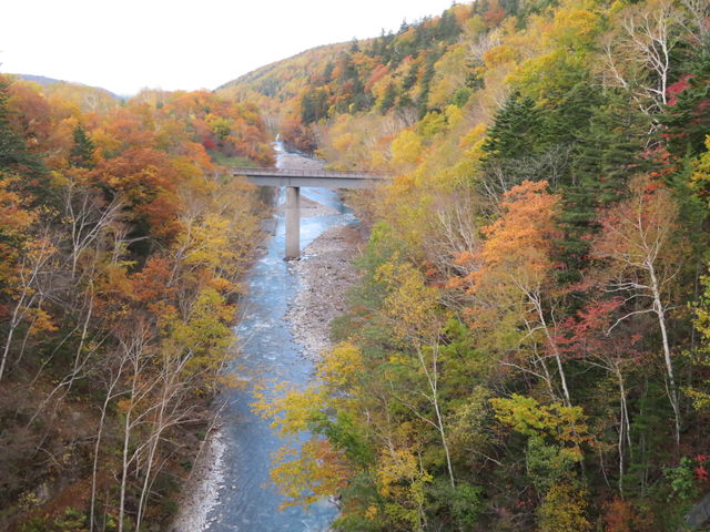 �ɂ�����ƍg�t_���Ђ��̑�