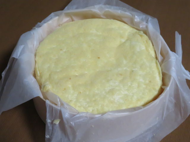 ꂪucvhD[ut}[W_َqH[tmfX