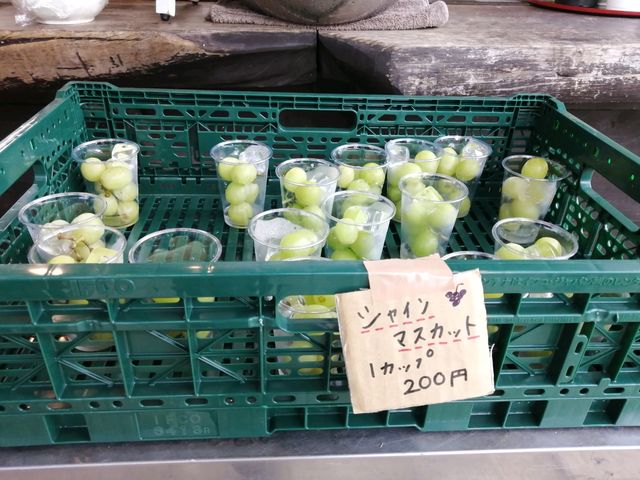 �V���C���}�X�J�b�g!_�ق����炩������