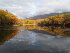 ܂̊Вmc[Xgւ̓eʐ^1