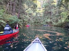 hirõBgJ̓]ւ̓eʐ^1