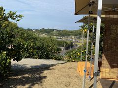 ĂĂ邳̒WH@_ւ̓eʐ^1