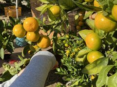 ĂĂ邳̒WH@_ւ̓eʐ^2