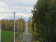 yosshy̐_yA̋u̓eʐ^1