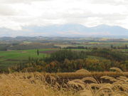 yosshy̐_yA̋u̓eʐ^2