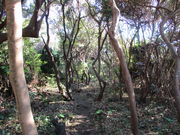 �̂�䂫����̔䓇��v�҈ԗ��̓��e�ʐ^2