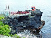 ÐhF̖k̂ܕٓV{̓eʐ^1