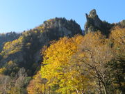 yosshy̑w_Xe܂̓eʐ^2