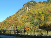 yosshy̑w_Xe܂̓eʐ^3