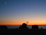 Lemon salťbC̓eʐ^1