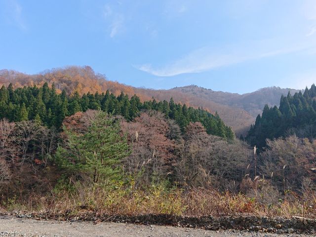 �����x�e�ŎB�����ʐ^�ł�_�k�㑃��