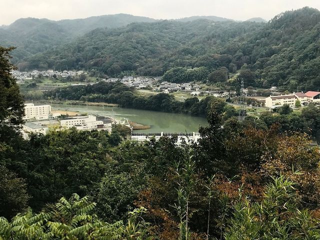 ̎W]䂩猩鐼Y__隬ÉW]