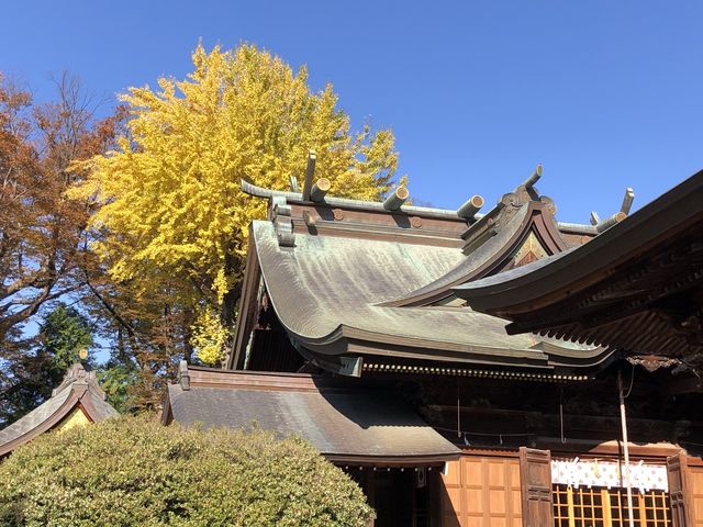 �����ʐ_�Ё@�{�a_�����ʐ_��