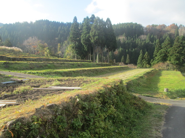 �Αg�݂̂����B�@�I�c�ς�����܂��B_���ĒI�c