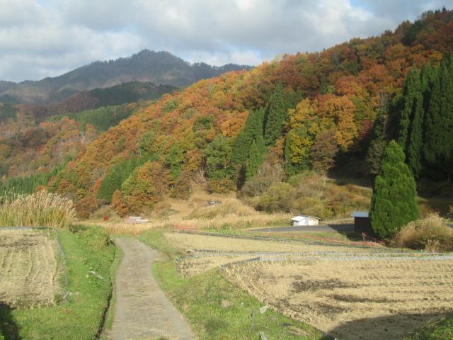 �H�[�������A�f���炵���g�t�ł����B_���ĒI�c