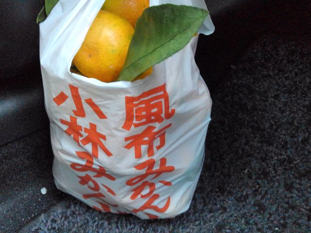 ��������H�ׂĂ��݂₰�݂̂���������ς��Ŋy���������ł��A_�����΂ȉ�