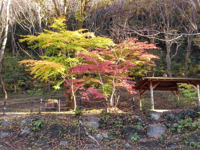 ݂肩牺Ƃɂ܂AꂩgtV[Yy݂łlA_΂ȉ