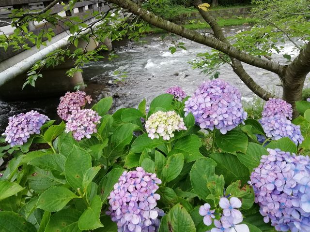 ���z�Ԃ���������݂ł�_�߉�����