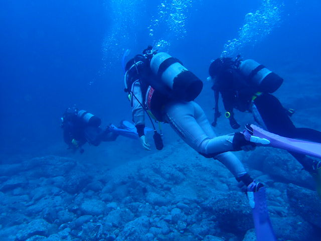 ����7���ɍs�������A�����x20���炢���肷�����Y���Blue�ł����B_�O�����f�E�|���|