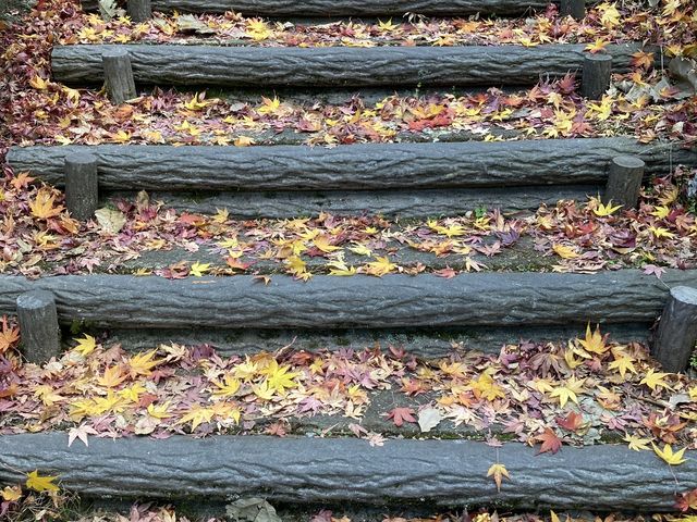 ���l����_�l����܂�����