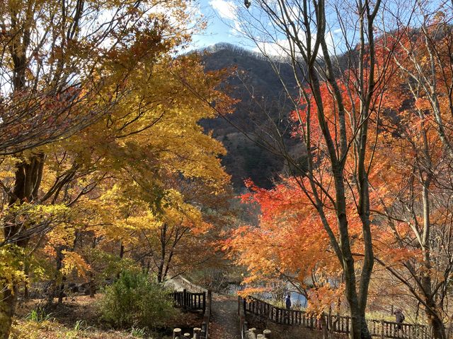 ���l����_�l����܂�����