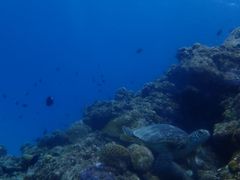 䂫̃RY~bNA[Xւ̓eʐ^1