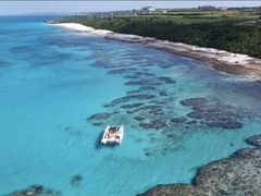 ~jg}g̕΃_CjO-Perchill-ւ̓eʐ^2