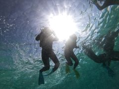 ~jg}g̕΃_CjO-Perchill-ւ̓eʐ^3