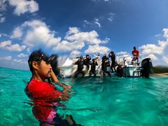 ~jg}g̕΃_CjO-Perchill-ւ̓eʐ^4