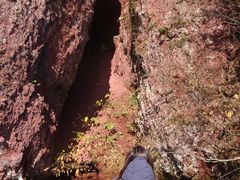 ݂񂳂̐AEghAZ^[(X)ւ̓eʐ^1