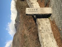 Shota����̓ߐ{�����W�]�� ���l�̐��n�ւ̓��e�ʐ^1