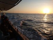 邮`񂳂̏tۂ̓eʐ^1