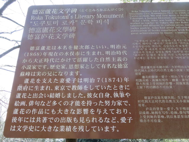 Ԃ񂳂̓xbԕw̓eʐ^2