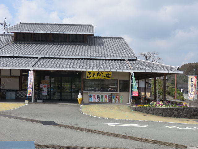 Ԃ񂳂̗΍ʊفiYفj̓eʐ^1