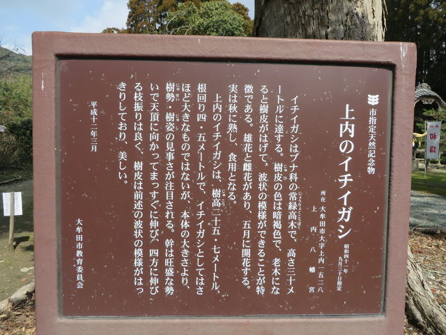 �ē���_��������{�̃C�`�C�K�V