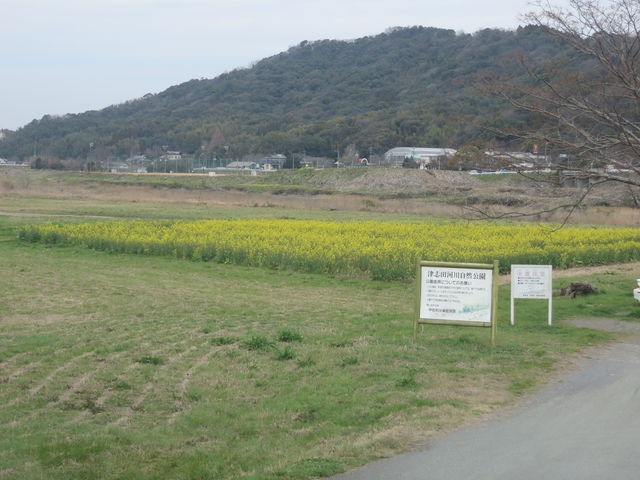 Ԃ񂳂̒Îuc͐쎩R̓eʐ^1