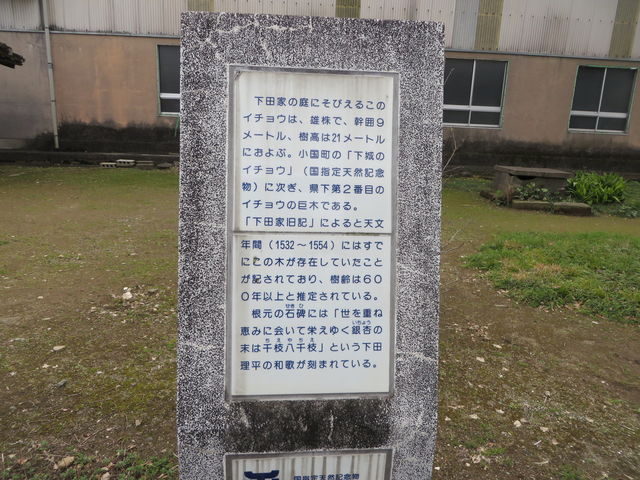 Ԃ񂳂̉c̃C`E̓eʐ^2