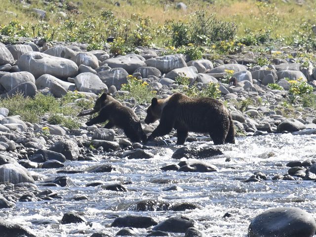 VPł͂ႮF_SWό@JCbJN[U[mEgN[Y