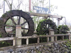 Ԃ񂳂̈h_ЖO߂ւ̓eʐ^1