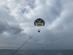 togepii̐Ί_u[V[T[ւ̓eʐ^1