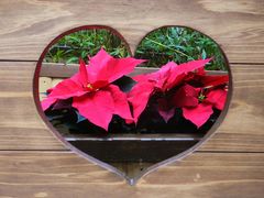 jR񂳂̈bώRւ̓eʐ^1