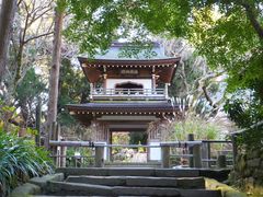 jR񂳂̎Oiqjւ̓eʐ^1