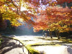 �j�R����񂳂�̒뉀(�����@�j�ւ̓��e�ʐ^1