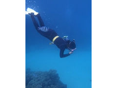 Ё[񂳂̐̓A@Dive@ւ̓eʐ^1